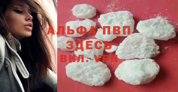 индика Балахна