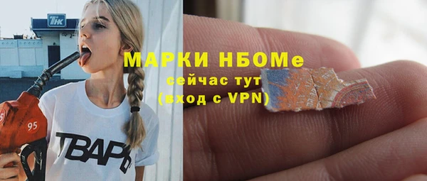 индика Балахна