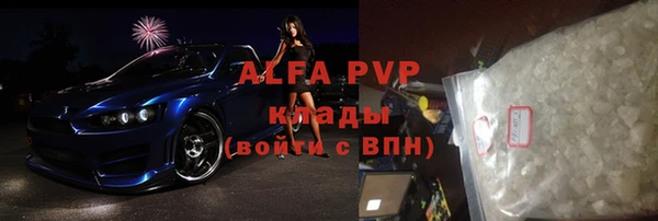 индика Балахна