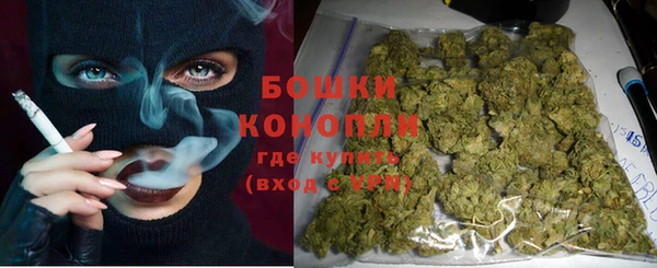 индика Балахна