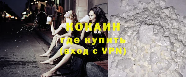 индика Балахна