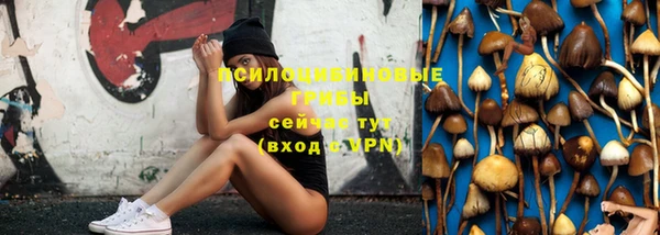 индика Балахна