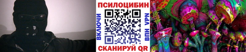 Галлюциногенные грибы Psilocybine cubensis  Чусовой 